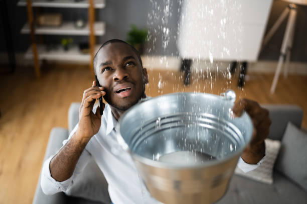 Best Flood restoration services  in Pine Level, NC