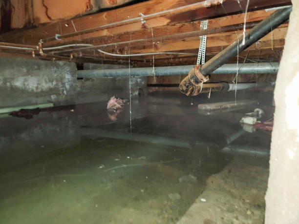 Best Fire Damage Restoration  in Pine Level, NC