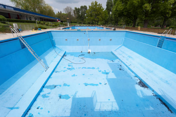 Best Mold removal after water damage  in Pine Level, NC