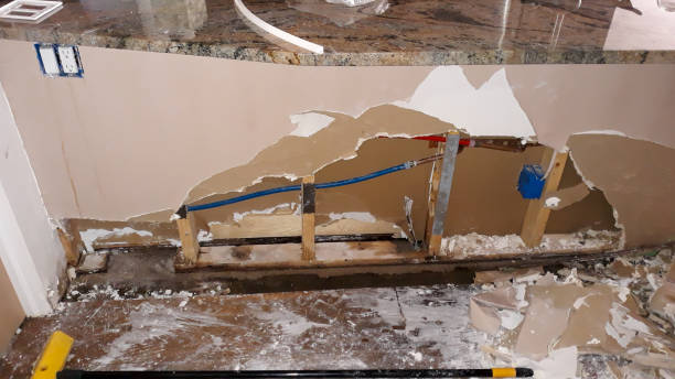 Best 24/7 water damage repair  in Pine Level, NC
