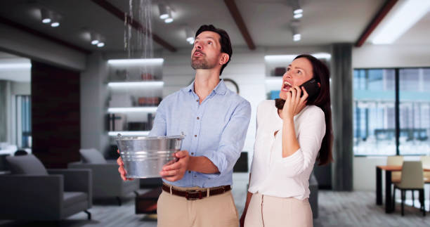 Best Professional water damage repair  in Pine Level, NC