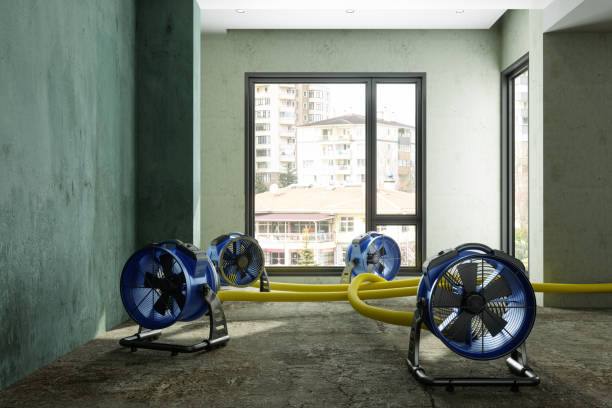 Best Residential water damage restoration  in Pine Level, NC