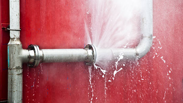 Best Water damage contractors near me  in Pine Level, NC