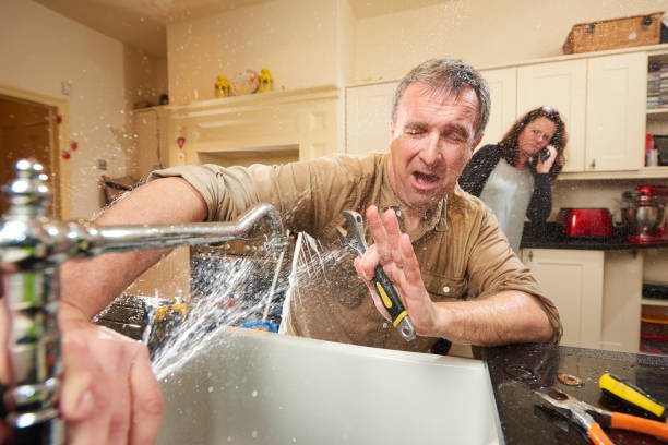 Best Water damage restoration near me  in Pine Level, NC